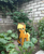 Size: 3008x3689 | Tagged: safe, artist:kvas!, applejack, earth pony, pony, g4, 1000 years in photoshop, garden, gardening, hat, high res, irl, photo, ponies in real life, shovel, solo