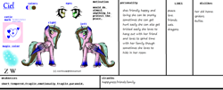 Size: 2388x960 | Tagged: safe, artist:kat-the-true-kitkat, oc, oc only, oc:ciel, alicorn, pony, alicorn oc, duo, female, heterochromia, horn, mare, reference sheet, story included, wings