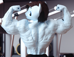 Size: 3900x3000 | Tagged: safe, artist:dashie116, oc, oc only, oc:calm wind, anthro, 3d, back muscles, biceps, bodybuilder, commission, daz studio, flexing, gym, high res, male, muscles, muscular male, solo, stallion, wingless, wingless anthro