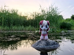 Size: 4032x3024 | Tagged: safe, artist:xeto_de, oc, oc:vanilla cream, pony, g4, female, filly, foal, irl, nature, photo, photography, plushie, pony plushie, realistic
