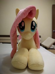 Size: 3024x4032 | Tagged: safe, artist:shindeeru, fluttershy, pony, g4, irl, life size, photo, plushie