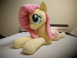 Size: 4032x3024 | Tagged: safe, artist:shindeeru, fluttershy, pony, g4, irl, life size, photo, plushie