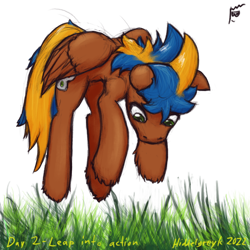 Size: 1000x1000 | Tagged: safe, artist:hiddelgreyk, oc, oc only, pegasus, pony, airborne, atg 2022, behaving like a fox, blue mane, brown coat, grass, green eyes, jumping, male, newbie artist training grounds, pegasus oc, pounce, simple background, solo, stallion, tail, touch grass, transparent background, two toned mane, two toned tail