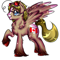 Size: 1000x1000 | Tagged: safe, artist:sirgalahadbw, pegasus, pony, canada (hetalia), glasses, hetalia, matthew williams, ponified, raised hoof, simple background, solo, transparent background