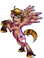 Size: 720x960 | Tagged: safe, artist:sirgalahadbw, pegasus, pony, alfred f. jones, glasses, hetalia, open mouth, ponified, simple background, solo, transparent background, united states (hetalia)