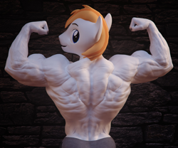 Size: 2048x1707 | Tagged: safe, artist:dashie116, oc, oc only, oc:atom quanto, earth pony, anthro, 3d, anthro oc, back muscles, biceps, bodybuilder, clothes, daz studio, deltoids, earth pony oc, looking at you, looking back, looking back at you, male, muscles, muscular male, shorts, solo, teenager, triceps