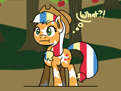 Size: 648x486 | Tagged: safe, artist:flutterluv, applejack, earth pony, pony, g4, 4th of july, :t, amerijack, animated, holiday, solo, wat