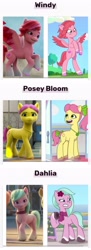 Size: 1500x4143 | Tagged: safe, edit, screencap, dahlia, posey bloom, windy, earth pony, pegasus, pony, g5, mane melody, my little pony: a new generation, my little pony: make your mark, my little pony: make your mark chapter 1, my little pony: tell your tale, zipp's flight school, spoiler:g5, spoiler:my little pony: a new generation, spoiler:my little pony: tell your tale, spoiler:tyts01e02, spoiler:tyts01e05, 2d, 3d, bipedal, bow, clothes, comparison, female, flower, flower in hair, hair bow, jewelry, mare, necklace, rearing, scarf, tail, tail bow