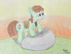 Size: 3863x2951 | Tagged: safe, artist:opti, oc, oc only, oc:broadside barb, earth pony, pony, atg 2022, backpack, bag, determined, high res, newbie artist training grounds, rock, saddle bag, solo, sunset, traditional art