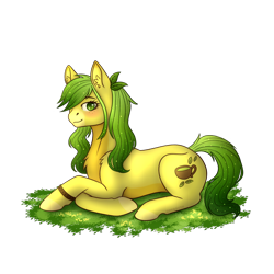 Size: 1080x1080 | Tagged: safe, artist:persiyk, oc, oc:green tea, earth pony, pony, female, lying down, mare, prone, simple background, solo, transparent background