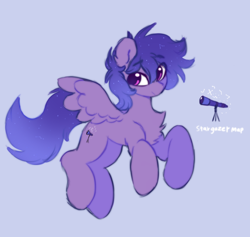 Size: 1246x1183 | Tagged: safe, artist:flixanoa, oc, oc only, oc:stargazermap, pegasus, pony, chest fluff, cutie mark, ethereal mane, folded wings, male, pegasus oc, pony oc, reference, reference sheet, solo, starry mane, telescope, wings