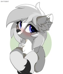 Size: 1707x2000 | Tagged: safe, artist:butterbit, oc, oc only, oc:silverlining, deer, deer pony, original species, blushing, chest fluff, ear fluff, simple background, solo, white background
