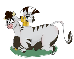 Size: 749x594 | Tagged: safe, daisy jo, zecora, chimera, cow, hybrid, original species, zebra, g4, beast, belly, big belly, body, conjoined, duo, duo female, fat, female, fusion, grass, grass field, jocora, multiple heads, request, requested art, simple background, transparent background, two heads, two heads are better than one, zebrow