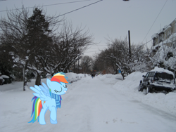 Size: 1920x1440 | Tagged: safe, artist:anxet, artist:mlplover94, rainbow dash, pegasus, pony, g4, car, clothes, delaware, female, irl, mare, photo, ponies in real life, scarf, snow, solo, vehicle, wilmington