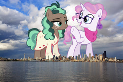 Size: 1920x1280 | Tagged: safe, artist:cirillaq, artist:dragonchaser123, artist:thegiantponyfan, minty mocha, raspberry latte, earth pony, pony, unicorn, clothes, ear piercing, earring, female, giant pony, giant unicorn, giant/macro earth pony, giantess, glasses, highrise ponies, irl, jewelry, macro, mare, photo, piercing, ponies in real life, seattle, story included, washington