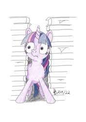 Size: 849x1200 | Tagged: safe, artist:darkdabula, twilight sparkle, pony, g4, atg 2022, book, newbie artist training grounds, solo, traditional art