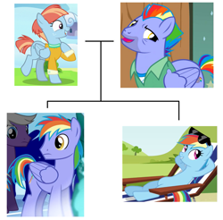 Size: 1111x1092 | Tagged: safe, edit, edited screencap, screencap, bow hothoof, rainbow blaze, rainbow dash, windy whistles, pegasus, pony, g4, games ponies play, parental glideance, season 3, season 7, too many pinkie pies, accessory, beard, brother, brother and sister, clothes, daughter, daughter and son, eyelashes, facial hair, family, family tree, father, father and child, father and daughter, father and son, female, grass, grass field, indoors, jacket, male, mare, mother, mother and child, mother and daughter, mother and son, outdoors, parent and child, shirt, siblings, simple background, sister, son, stallion, sunglasses, t-shirt, tree, wall of tags, white background