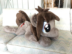 Size: 1280x960 | Tagged: safe, artist:azgchip, oc, oc only, pegasus, pony, commission, couch, irl, lying down, male, photo, plushie, solo, stallion