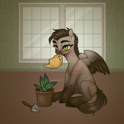 Size: 3000x3000 | Tagged: safe, artist:maslo<3, pegasus, pony, commission, high res, plant, plant pot, solo, trowel, watering can, window, ych result