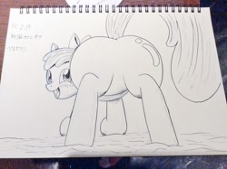 Size: 1024x764 | Tagged: safe, artist:phoenixperegrine, apple bloom, earth pony, pony, g4, bloom butt, blushing, butt, featureless crotch, female, filly, foal, looking at you, looking back, looking back at you, photo, plot, sketch, solo, traditional art