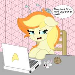 Size: 1080x1080 | Tagged: safe, artist:sodapop sprays, oc, oc:sodapop sprays, mouse, pegasus, pony, antennae, chair, combadge, computer, crying, cyan, female, floppy ears, food, glowing, glowing eyes, gray, green, green eyes, laptop computer, mare, open mouth, orange, peach, pink, pink background, sad, simple background, speech bubble, star trek, star trek: deep space nine, talking to viewer, tribble, white, yellow