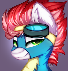 Size: 2500x2640 | Tagged: safe, artist:2pandita, oc, oc:swift apex, pony, bust, clothes, high res, portrait, solo, uniform, wonderbolts uniform