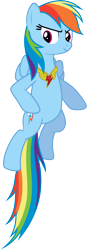 Size: 3000x8644 | Tagged: safe, artist:sakatagintoki117, rainbow dash, pegasus, pony, g4, element of loyalty, female, floating, looking at you, mare, simple background, solo, transparent background, vector