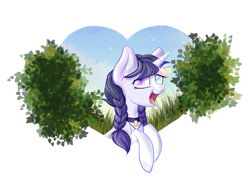 Size: 1280x960 | Tagged: safe, artist:aledera, oc, oc only, pony, unicorn, braid, female, heterochromia, mare, simple background, solo, stars, transparent background