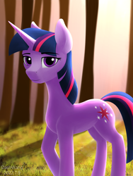 Size: 2250x3000 | Tagged: safe, artist:dash wang, twilight sparkle, pony, unicorn, g4, female, high res, solo, unicorn twilight