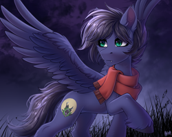 Size: 2500x2000 | Tagged: safe, artist:hakaina, oc, oc only, oc:fenris ebonyglow, pegasus, pony, clothes, concave belly, fluffy, high res, male, raised hoof, scarf, slender, solo, spread wings, stallion, thin, wings
