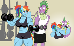 Size: 3852x2382 | Tagged: safe, artist:matchstickman, rainbow dash, spike, dragon, pegasus, anthro, g4, abs, armpits, art trade, biceps, blushing, breasts, breath, buff breasts, busty rainbow dash, clothes, deltoids, dumbbell (object), duo, eyes closed, female, flexing, gradient background, gym, high res, male, mare, measuring tape, muscles, muscular female, pecs, ponytail, rainbuff dash, shorts, sports bra, sweat, sweatdrops, thighs, thunder thighs, weight lifting, weights, workout