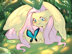 Size: 2000x1500 | Tagged: safe, artist:pupaprimeedition, fluttershy, butterfly, pegasus, pony, g4, blushing, cute, female, mare, shyabetes, solo
