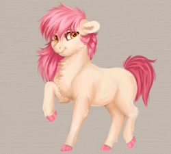 Size: 680x611 | Tagged: safe, artist:roselord, oc, earth pony, pony, chest fluff, commission, fluffy, new style