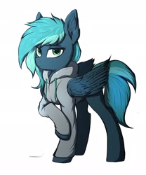 Size: 1707x2048 | Tagged: safe, artist:tatykin, oc, oc only, oc:breeze packets, pegasus, pony, clothes, commission, female, hoodie, looking at you, mare, simple background, solo, white background, wings