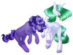 Size: 2400x1800 | Tagged: safe, artist:purplegrim40, oc, oc only, earth pony, pony, unicorn, colored hooves, duo, earth pony oc, female, horn, mare, simple background, transparent background, unicorn oc