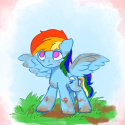 Size: 2048x2048 | Tagged: safe, artist:anderdraws, rainbow dash, pegasus, pony, g4, dirty, female, grass, high res, mud, no pupils, solo, spread wings, wings