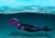 Size: 1180x820 | Tagged: safe, artist:stirren, oc, oc:violet rose ze vampony, mermaid, anthro, bondage, commission, diving, encasement, female, fish tail, latex, mermaid tail, solo, swimming, tail, underwater, water, ych result