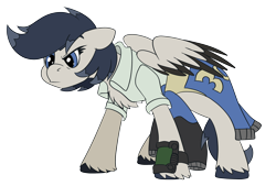 Size: 3500x2360 | Tagged: safe, artist:brainiac, oc, oc only, pegasus, pony, clothes, high res, requested art, shirt, simple background, solo, transparent background