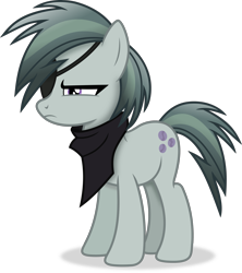 Size: 3427x3858 | Tagged: safe, artist:anime-equestria, marble pie, earth pony, pony, g4, alternate hairstyle, bandana, eyepatch, female, high res, mare, simple background, solo, transparent background, vector