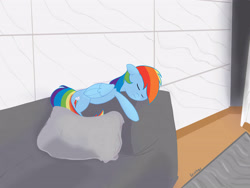 Size: 4000x3000 | Tagged: safe, artist:reinbou, rainbow dash, pegasus, pony, g4, backwards cutie mark, couch, pillow, sleeping, solo