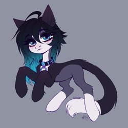 Size: 1800x1800 | Tagged: safe, artist:lomilykohi, oc, oc only, cat, cat pony, original species, belt, cat tail, collar, collar ring, eye clipping through hair, eyebrows, eyebrows visible through hair, simple background, solo, tail