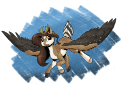 Size: 1280x905 | Tagged: safe, artist:darkhestur, oc, oc only, pegasus, pony, bandana, falcon wings, feather tail, flying, looking at you, missing cutie mark, pegasus oc, simple background, smiling