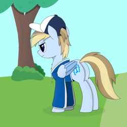 Size: 3240x3240 | Tagged: safe, artist:terncode, oc, oc only, oc:terncode, pegasus, pony, cap, clothes, hat, high res, pegasus oc, solo