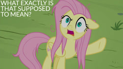 Size: 1280x720 | Tagged: safe, edit, edited screencap, editor:quoterific, screencap, angel bunny, fluttershy, pegasus, pony, g4, season 9, she talks to angel, body swap, female, floppy ears, mare, messy mane, not fluttershy, open mouth, reaction image, solo, text