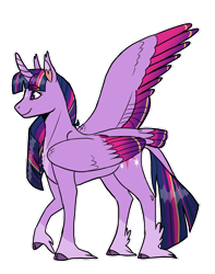Size: 1280x1621 | Tagged: safe, artist:aspen--trees, twilight sparkle, alicorn, pony, g4, colored wings, female, long feather, mare, multicolored wings, one wing out, simple background, solo, tail, tail feathers, transparent background, twilight sparkle (alicorn), unshorn fetlocks, wings