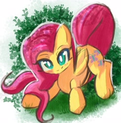 Size: 2480x2532 | Tagged: safe, artist:solid shrimp, fluttershy, pegasus, pony, g4, blushing, crouching, female, folded wings, grass, high res, looking at you, mare, outdoors, smiling, solo, three quarter view, wings