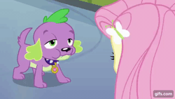 Size: 640x360 | Tagged: safe, screencap, fluttershy, spike, dog, equestria girls, equestria girls (movie), animated, spike the dog