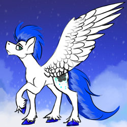 Size: 2283x2286 | Tagged: safe, artist:maplefr0st, artist:~doughderg, oc, pegasus, pony, blue, blue eyes, cloud, high res, hooves, large wings, multicolored hair, pegasus oc, snow, white, wings, winter