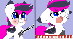 Size: 1500x795 | Tagged: safe, artist:pegamutt, oc, oc:lance, bat pony, pony, animated, bat pony oc, blushing, eeee, eye clipping through hair, eyebrows, eyebrows visible through hair, multicolored hair, puffy cheeks, simple background, solo, vibrating