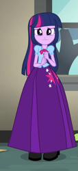 Size: 325x714 | Tagged: safe, artist:starman1999, edit, edited screencap, screencap, twilight sparkle, human, equestria girls, g4, my little pony equestria girls: rainbow rocks, clothes, cropped, long skirt, skirt, solo, twilight sparkle (alicorn)